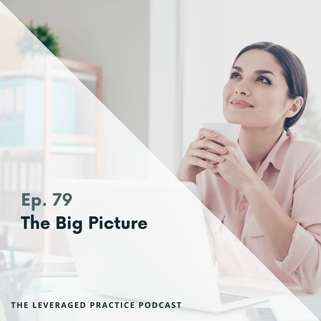 Ep. 79 The Big Picture